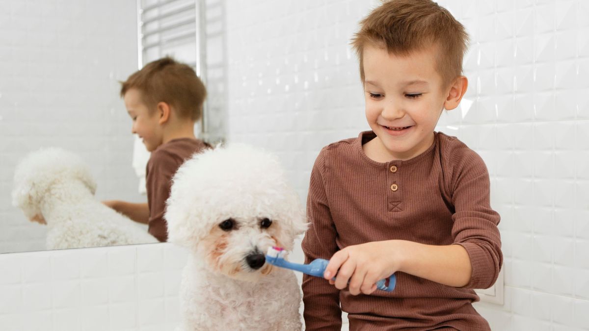 How to Make Homemade Dog Toothpaste for Healthy Teeth