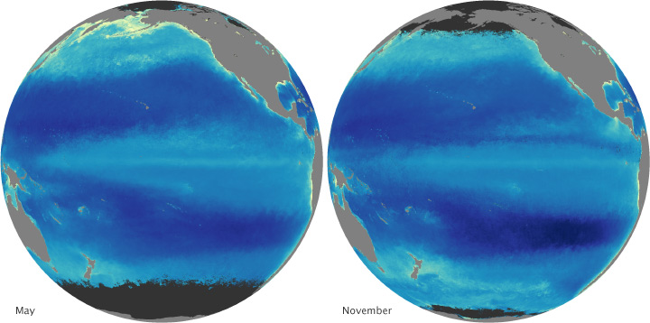 comparison showing phytoplankton density